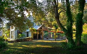 Storybook Cottage-Surrounded By Beautiful Gardens